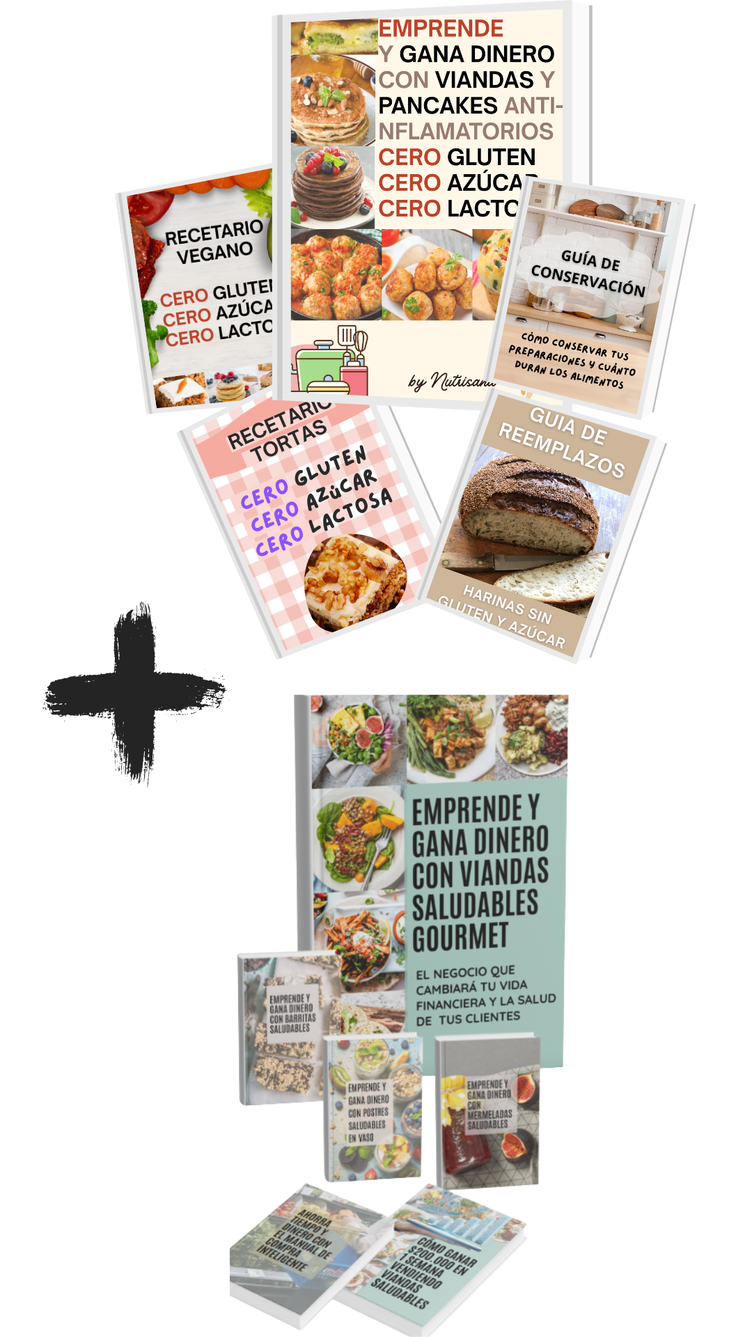 COMBO SUPER OFERTA Emprende con Viandas saludables + Emprende con Viandas Antiinflamatorias